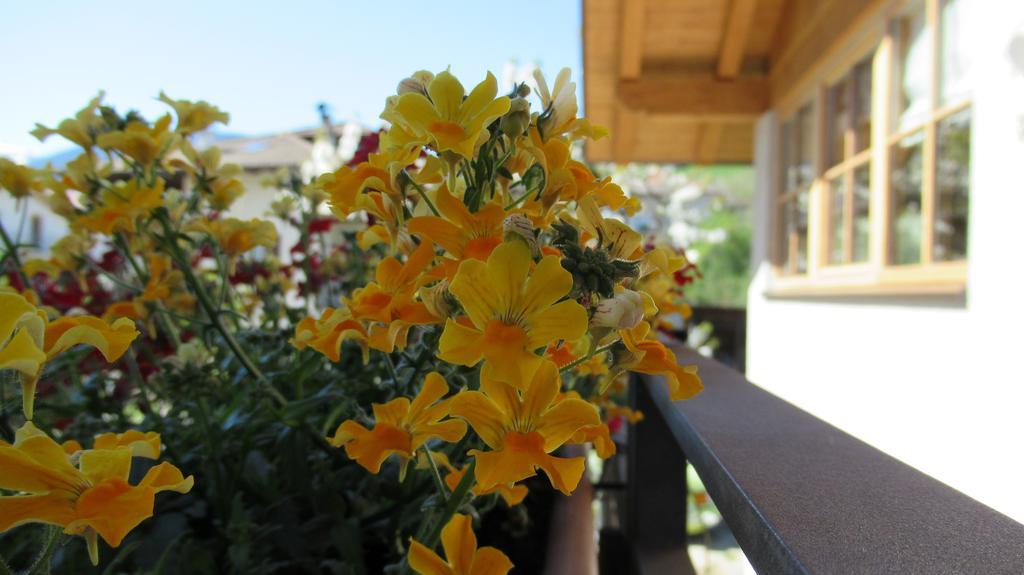 Tassullo Chalet Casa Al Poz מראה חיצוני תמונה